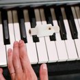 thumbnail image 3 of Shisuyan Piano Tuning Buckles Plastic 1Set 1.8x0.6x0.4In, 3 of 9