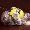 thumbnail image 4 of Juguetes terapéuticos para distribuidores de alimentos para gatos, juguetes de entrenamiento IQ rodantes, 4 of 5
