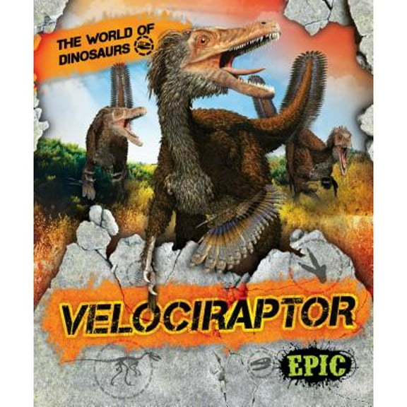 Pre-Owned Velociraptor (Paperback) 1618917382 9781618917386