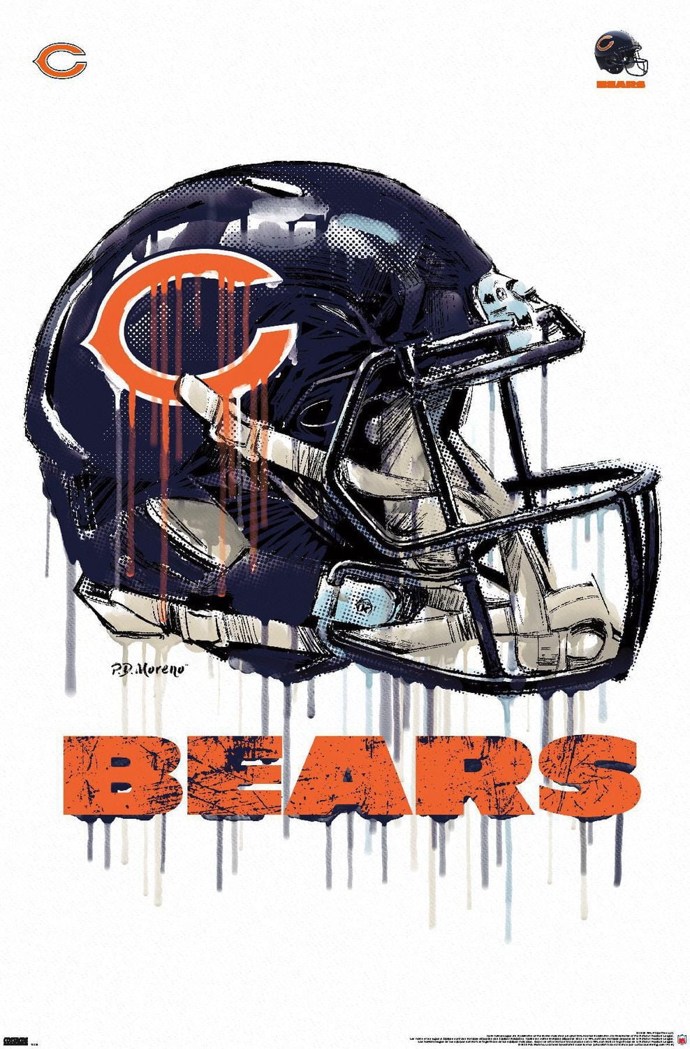 NFL Chicago Bears