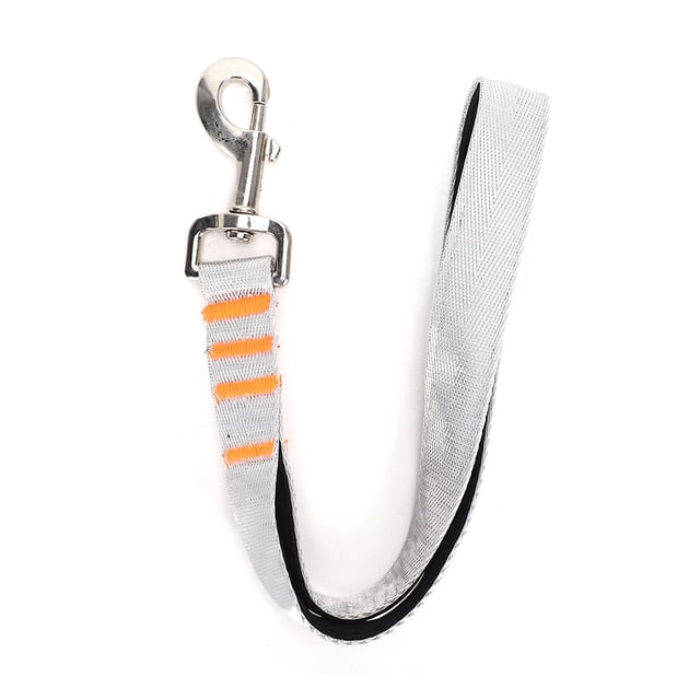 Cuerda de tracción de nailon portátil multifunción para perros y mascotas, accesorio para paseos al aire libre, color plateado