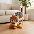 thumbnail image 4 of Vibrant Life Brown Floppy Dog Plush Dog Toy with Squeaker, Chew Level 1, 4 of 12