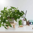 thumbnail image 4 of AURARMLET 2pcs Flower Pot Stool Natural Color Premium Wood Materials Plants Stand Indoor Use, 4 of 8