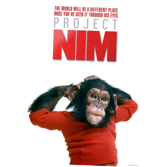 Project Nim Mini Poster 11inx17in 11x17 poster
