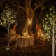 thumbnail image 2 of Birch Tree LIGHTSHARE de 8 pies con 132 luces LED de color blanco cálido, x2, 2 of 9