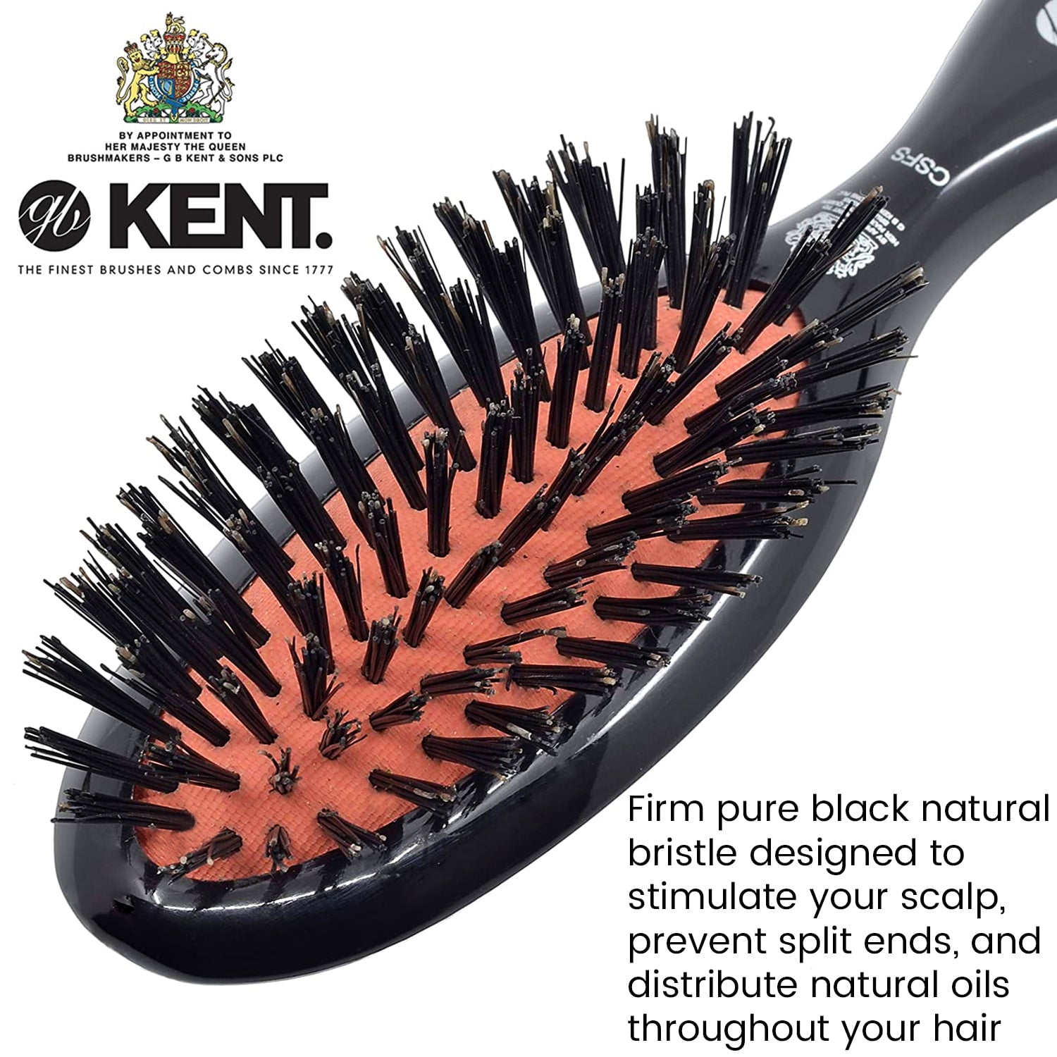 Style + Shine Boar Bristle Brush- Black