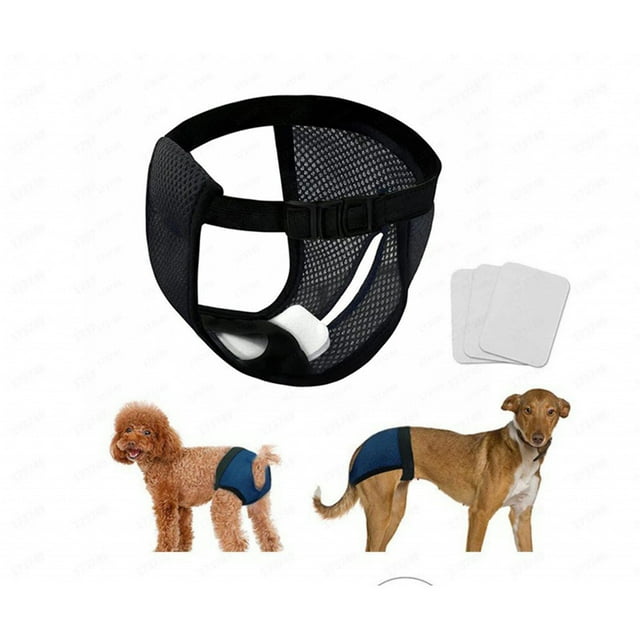Couches Réutilisables pour Animaux en Maille Lavables, Couches Hygiéniques Menstruelles pour Chiens, Culottes Menstruelles pour Chiens avec 3 Couches de Remplacement pour Incontinence pour Animaux de Compagnie pour Toutes Tailles d'Animaux