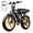 R9-Yellow-15AH, variant on TST Electric Bike for Adults, 750W Peak 1500W Motor, 20"x4" Fat Tire E Bicycle, E Mountain Bike, 48V/15AH SGS, App Control