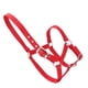 thumbnail image 1 of Accesorio para montar a caballo, brida para caballo con cabestro de caballo engrosado de 6 mm de alta densidad, rendimiento confiable Jadeshay A, 1 of 8