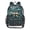 Swirling Tail Feathers, variant on PVC Transparent Backpacks Clear Backpack for Travel and Outings Sitting Unicorn Pattern