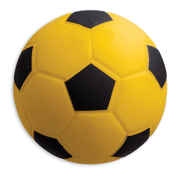 Champion Sports Coated High Density Foam Soccer Ball