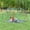 Coffee+Green (two‑box, with Hammock), variant on LuckyNote 12ft Geometric Dome Climber Play Center, Kids Climbing Dome Tower with Hammock, Rust & UV Resistant Steel Supporting 1000 lbs, Coffee+Green