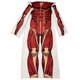 thumbnail image 1 of Ataque a los titanes Colossus Titan Snuggler Blanket Surreal Entertainment 670711142414, 1 of 1