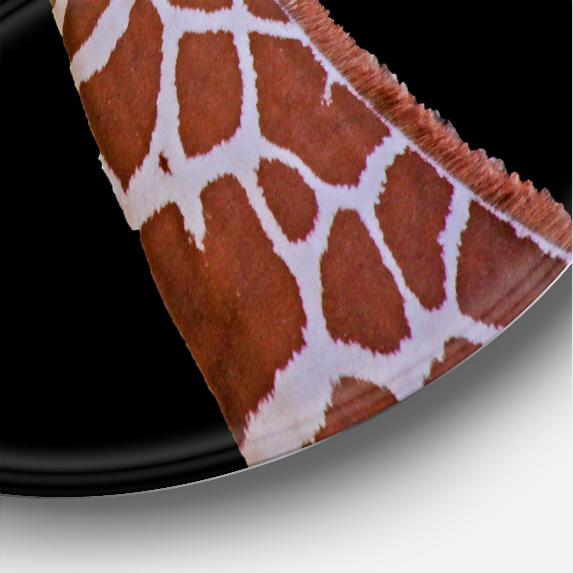 Designart 'Portrait of A Giraffe On Black Background I' Farmhouse Circle Metal Wall Art 29x29 - Disc of 29