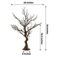 thumbnail image 3 of Efavormart 34" Manzanita Centerpiece Tree + 8 Acrylic Bead Chains For Wedding Banquet Birthday Party Event Tabletop Decorations - Natural, 3 of 9
