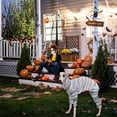 thumbnail image 2 of TIELUTT Halloween Pet Horrible Theme Pet Clothing Interesting Pet Accessories for Pet Clothes Pet Clothes Rack Small Pet Clothes for Medium Dogs Pet Clothes for Medium Dogs Boys Pet Clothes Hangers, 2 of 8