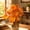 orange, variant on Uutvery Fall Tabletop Decor Accents — 4 Assorted Styles with Mini Pumpkins | Self-Standing Maple & Oak Leaf Pieces in Pink, Orange, Cream | Reusable Plastic for Table, Mantel, Shelf