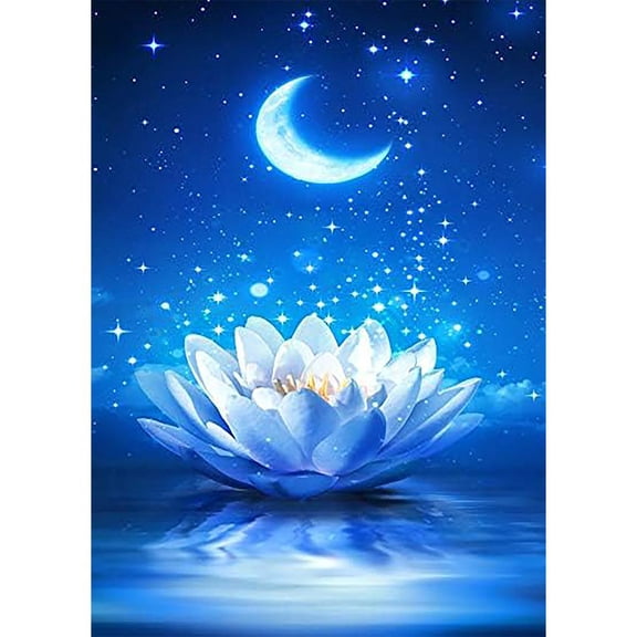 DIY Diamond art Painting Kits Moon Landscape DiamondArt Kits Wall Decoration Q7