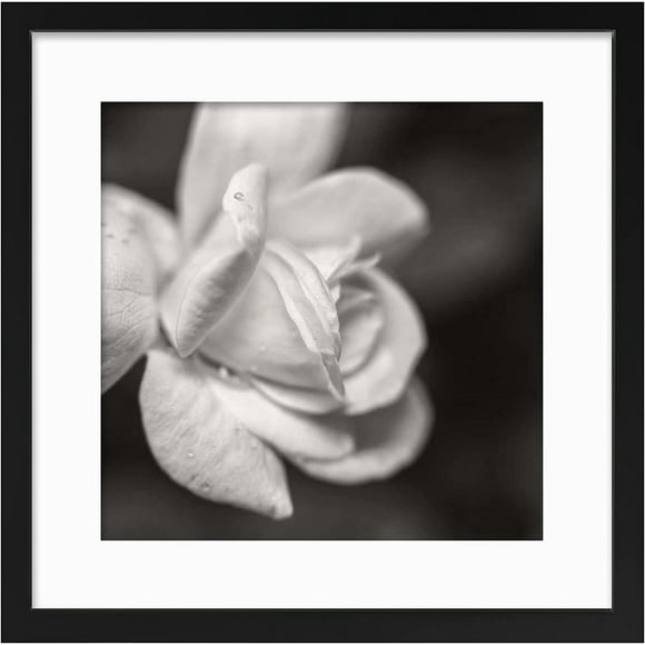 AmPm 16x16 Picture Frames Black Matted 12x12 Wooden Picture Frame Poster Frame Document Diploma and Certificate Frame for Wall Hanging Home Decoration-Black