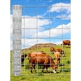 thumbnail image 1 of Clôture pour Bovins en Acier Galvanisé Robuste 6 Pi x 164 Pi à Maillons de Chaîne, Conception Résistante à la Rouille, Polyvalente pour Ferme et Cour, Fil Enroulé pour Bétail, Chèvres, Moutons, Porcs et Cerfs, 1 of 6