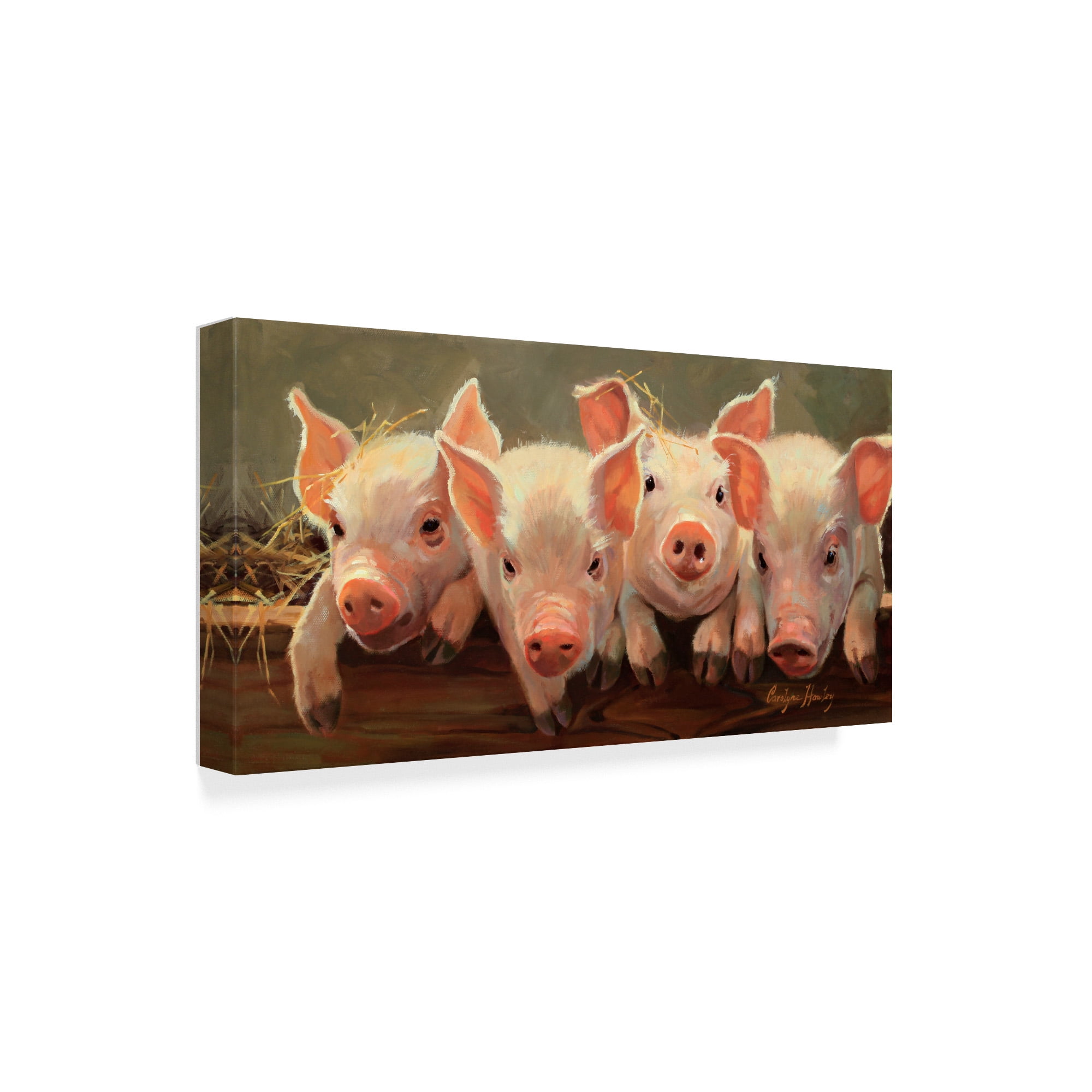 Trademark Fine Art 'The Big Squeeze' Canvas Art by Carolyne Hawley