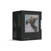 Polaroid Go Color Film - Black Frame Double Pack