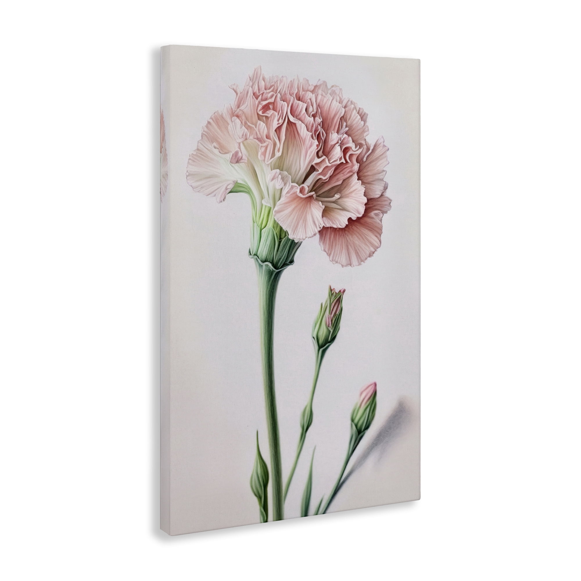 Stupell Industries Pale Carnation Budding Plants & Flowers Painting Wrapped Canvas Art Print Wall Art, 24 x 36