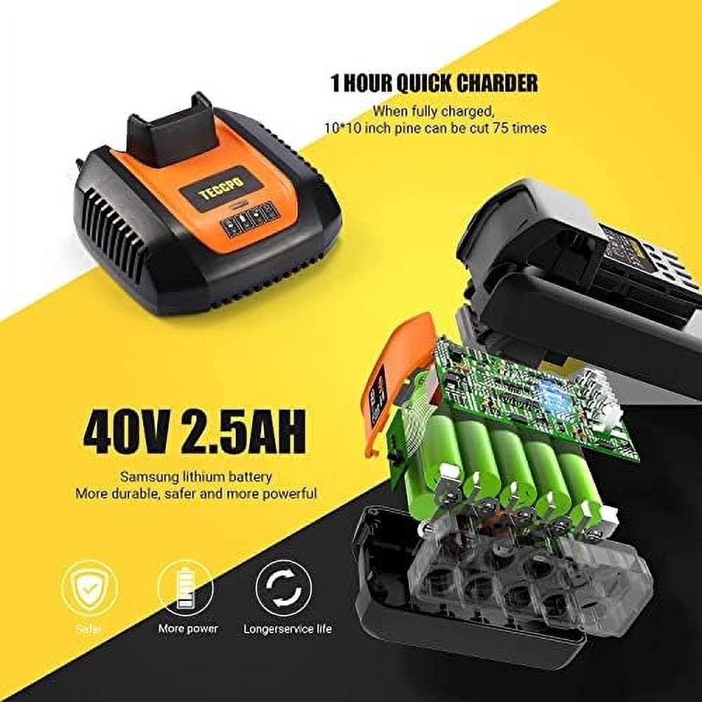 TECCPO Cordless Chainsaw, 40V 12-Inch Electric Chainsaw, High Performance Motor, 2.5Ah Samsung Battery and Charger Included, 26.24ft/s Chain Speed, Oregon Chain, for Cutting Trees and Wood-TDCS01A