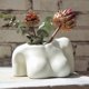 thumbnail image 1 of Florero de cuerpo de raíz femenina, macetas de flores femeninas humanas con orificios de drenaje, piezas decorativas en forma de Boho en diseño Mod, 1 of 3