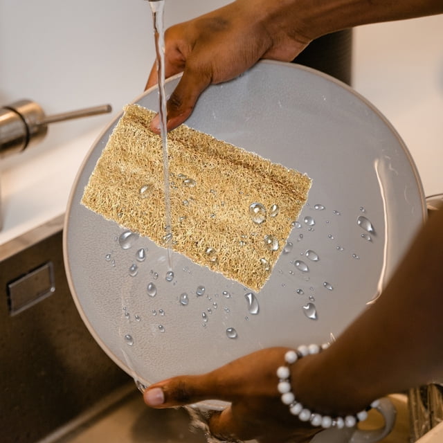 COSMOBETTY 3Ud Esponjas De Loofah Para De Platos Uso Doméstico Fácil
