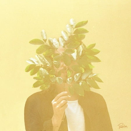Kiwi Juice - French Kiwi Juice (CD)