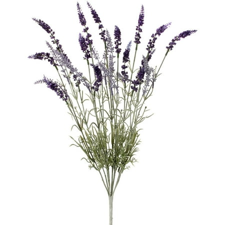 Regency Int Lavender | Walmart Canada