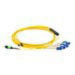 UPC: 0841280127755 | Axiom network cable – 49 ft – yellow
