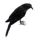 thumbnail image 1 of Artificial Raven & Magpie Birds Decor for Outdoor Garden & Home Decoration, 1 of 5