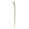 thumbnail image 5 of Nearly Natural 2113-S12-YL 19.5" Calla Lily Artificial Flower (Set of 12), 5 of 5
