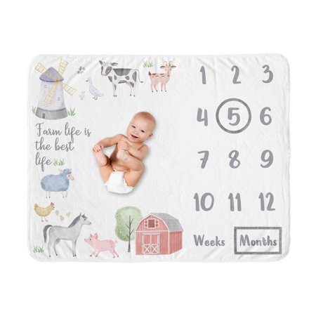 UPC: 0846480086772 | Farm Animals Milestone Baby Blanket by Sweet Jojo Designs