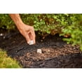 thumbnail image 5 of Miracle-Gro® Tree & Shrub Plant Food Spikes 15-5-10, 5 of 5