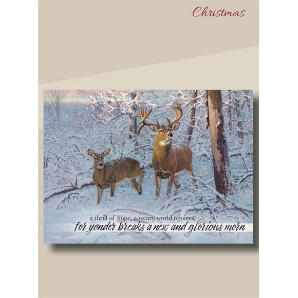 Heartland Wholesale 254078 Carte en Boîte pour Cerf de Noël à Queue Blanche avec Écriture - Pack de 12