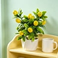 thumbnail image 5 of Artificial Fruit Bonsai Foliage in White Pot, Plastic Indoor Home Decor, Desk Window Sill Shelf Accent, Office Living Room Table Decoration, 5 of 6