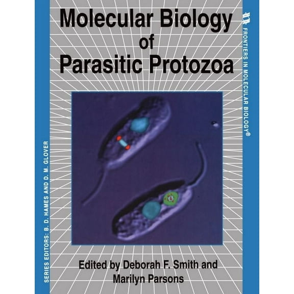 Frontiers in Molecular Biology Molecular Biology of Parasitic Protozoa, Book 13, (Paperback)