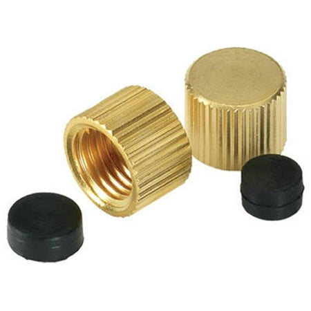

Homewerks VACCAPW2B Large Valve Drain Cap