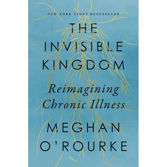 Pre-Owned The Invisible Kingdom: Reimagining Chronic Illness (Hardcover) 1594633797 9781594633799