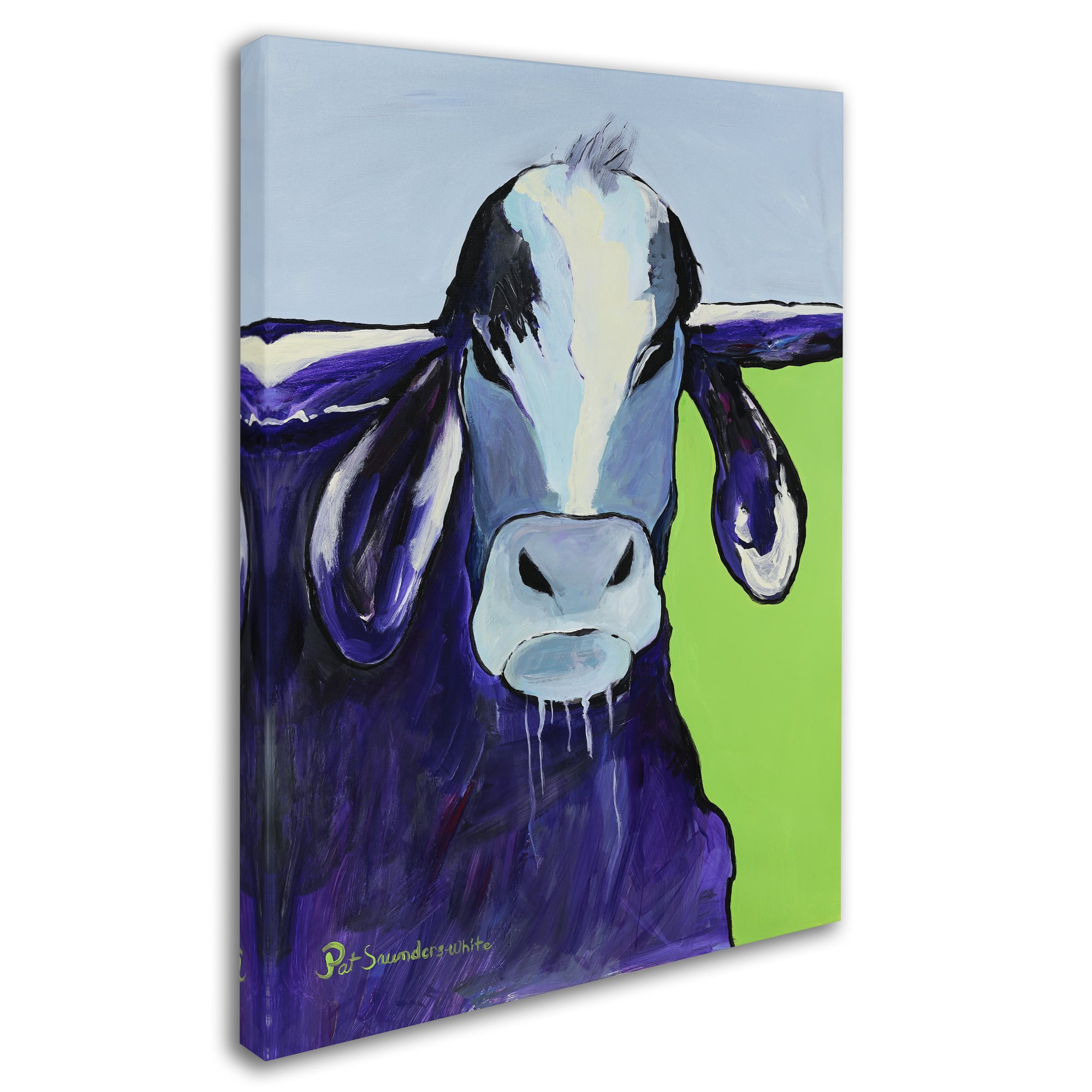 Trademark Fine Art "Bull Drool II" Canvas Art by Pat Saunders-White