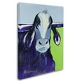 thumbnail image 2 of Trademark Fine Art "Bull Drool II" Canvas Art by Pat Saunders-White, 2 of 3