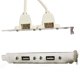 thumbnail image 2 of Soporte De Panel Trasero De 2 Puertos Cable De Placa Base Conector Usb 2.0 Adaptador De Cable, 2 of 8