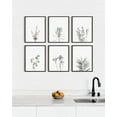 thumbnail image 5 of HAUS AND HUES Floral Prints and Plant Posters Set of 6 Botanical Prints Set and Floral Wall Art | Wildflower Wall Art Plant Wall Art Floral Poster Flower Wall Art Set (11x14, Black Framed), 5 of 6