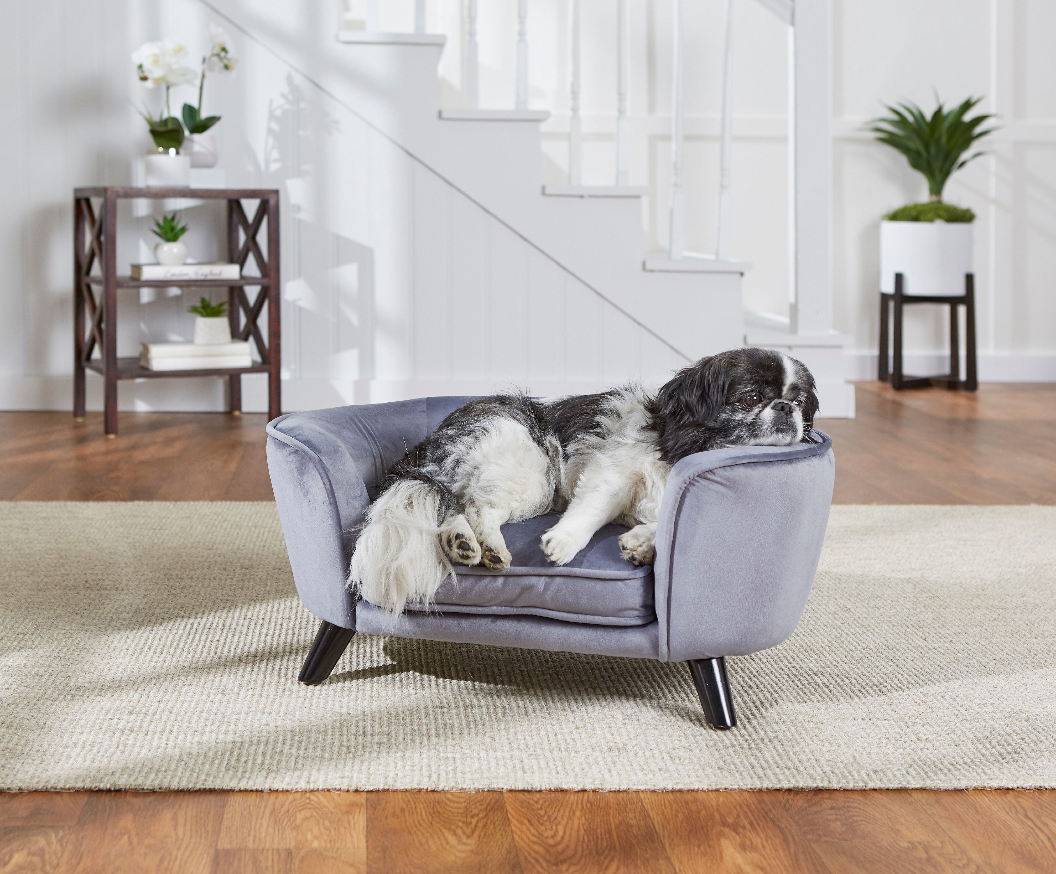 Beds & Furniture Sofas & Chairs Enchanted Home Pet Romy Peacock Pet