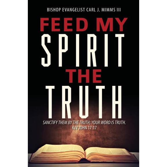 Feed My Spirit the Truth, (Paperback)