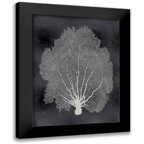 Miller, Melonie 12x14 Black Modern Framed Museum Art Print Titled - Sea Fan on Black II