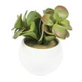 thumbnail image 2 of Vickerman FO190501 5 in. Green, Red & Grey Succulent White Pot - Set of 3, 2 of 3